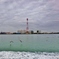 第四千百十四作　「死の海を　舞ふ海鳥の　諍へり」　千葉県船橋
