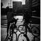 monochrome