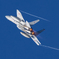 岐阜基地航空祭 2025年 10月9日(木) 事前訓練