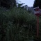 矢印の示す場所
