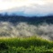 白馬村の朝