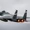 2025 岐阜基地航空祭