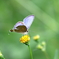 ウラナミ君 3