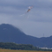 航空祭