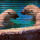 Shutter  art