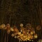 久方振り、夜灯り