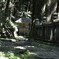 山に抱かれた山門　⑥。。。！