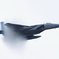 岐阜基地航空祭で雲を纏うF15J