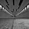 STREET154