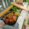 花手水