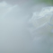 white veil