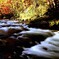 I定山渓白井川紅葉