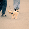 Street scene#151