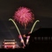 朱雀門と東楼と花火と・・。1