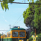 白山前行き発車