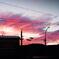 The fragile blush of dawn.