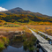 autumn colors
