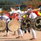 永田芸能保存会の田楽　２