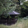 雨上がりの公園