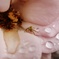 薔薇と人面蜘蛛