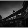 monochrome