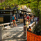 Have fun on your Kyoto trip!