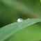 雫−２