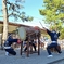 寄居祭・躍動