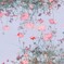 film・夢の中の空*