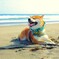 きもちぃーーーーーーー！