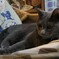 P1080773 (2)　くつろぐ
