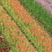 251018-083149