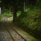 森林に延びる軌道