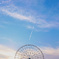 観覧車の向こうにはヒコーキ雲