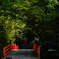 今熊野観音寺参道