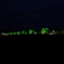 ライトアップ　DSCF6045