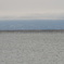DSC01414