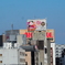 P8280683