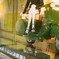 film・旅するMs.Green*