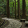 裏の公園にて