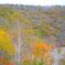赤城山の紅葉⑥