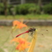 お気に入りの場所
