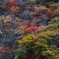 赤城山紅葉２