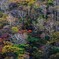 赤城山紅葉３