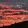 ♬　夕焼空が真っ赤っか