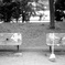 「秋公園」 (film:16mm)