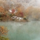 雪と紅葉