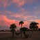 椰子の夕暮れ - ①