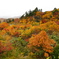 栗駒山荘の紅葉2025