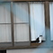 すまし顔